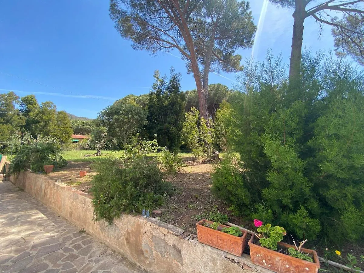 Villa Con Ampio Giardino A Due Passi Dal Mare Sant'Anna  Włochy