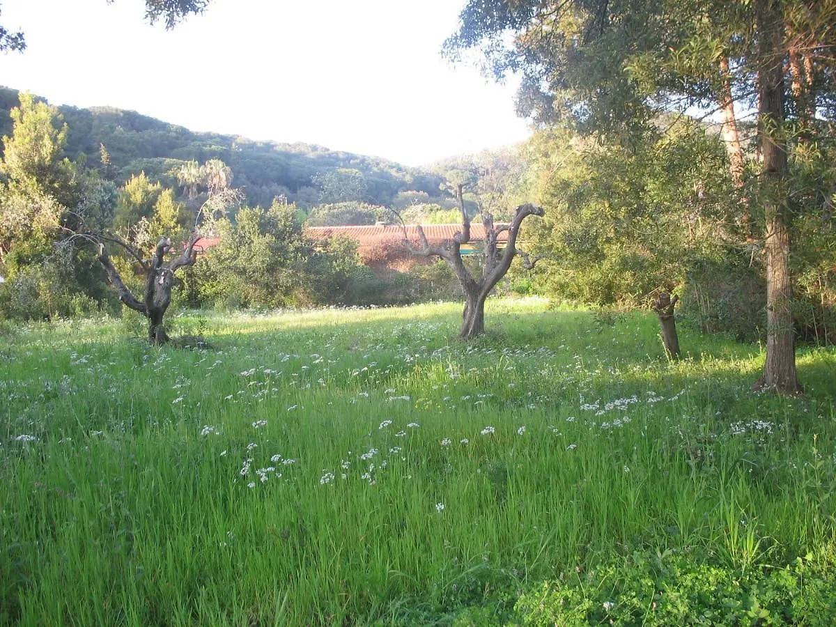 Villa Con Ampio Giardino A Due Passi Dal Mare Sant'Anna  Włochy