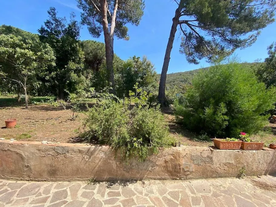 Villa Con Ampio Giardino A Due Passi Dal Mare Sant'Anna